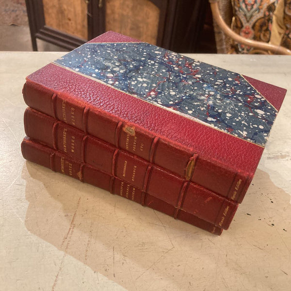 Set of 3 antique red leather books