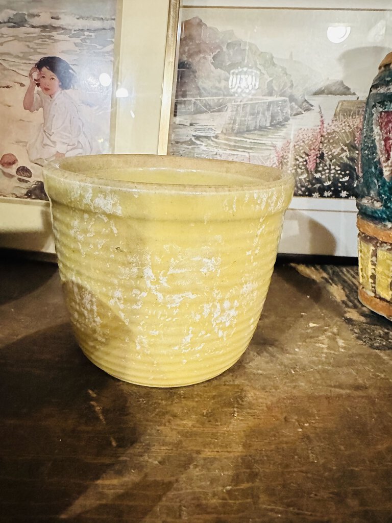 Yellow sponge ware pot