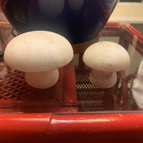 Vintage Set of alabaster Mushrooms/ made in Italy
