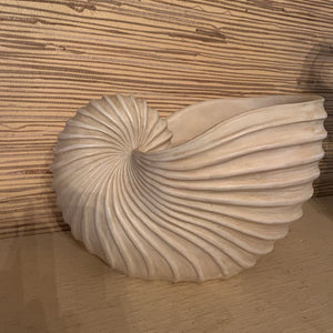 Large Nautilus Shell 8 tall 10 long