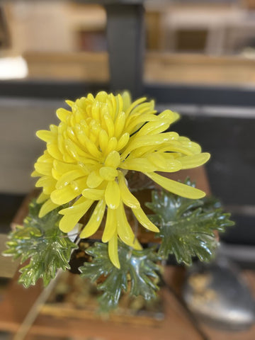 Yellow vintage chrysanthemum